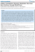 Cover page: Cellular Cytoskeleton Dynamics Modulates Non-Viral Gene Delivery through RhoGTPases