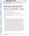 Cover page: Neutralization of KIT Oncogenic Signaling in Leukemia with Antibodies Targeting KIT Membrane Proximal Domain 5