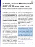 Cover page: Full molecular trajectories of RNA polymerase at single base-pair resolution