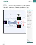 Cover page: EcSeg: Semantic Segmentation of Metaphase Images Containing Extrachromosomal DNA