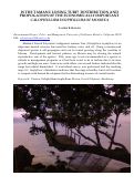 Cover page of Is the Tamanu Losing Turf? DIstribution and Propogation of the Economically Important Calophyllum Inophyllum of Moorea