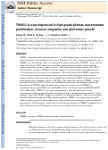 Cover page: TRIM11 is overexpressed in high-grade gliomas and promotes proliferation, invasion, migration and glial tumor growth