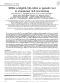 Cover page: SOX2 and p63 colocalize at genetic loci in squamous cell carcinomas