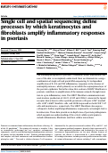 Cover page: Single cell and spatial sequencing define processes by which keratinocytes and fibroblasts amplify inflammatory responses in psoriasis.