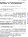 Cover page: Poly(ADP-ribose) Polymerase and Ku Autoantigen Form a Complex and Synergistically Bind to Matrix Attachment Sequences