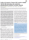 Cover page: Proline-rich domain of human ALIX contains multiple TSG101-UEV interaction sites and forms phosphorylation-mediated reversible amyloids