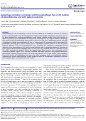 Cover page: Autophagy initiation correlates with the autophagic flux in 3D models of mesothelioma and with patient outcome