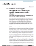 Cover page: Dendrite injury triggers neuroprotection in Drosophila models of neurodegenerative disease