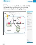 Cover page: Solute Carrier Family 37 Member 2 (SLC37A2) Negatively Regulates Murine Macrophage Inflammation by Controlling Glycolysis