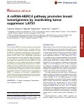 Cover page: A miRNA-HERC4 pathway promotes breast tumorigenesis by inactivating tumor suppressor LATS1