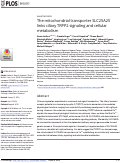 Cover page: The mitochondrial transporter SLC25A25 links ciliary TRPP2 signaling and cellular metabolism