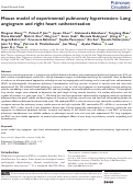 Cover page: Mouse model of experimental pulmonary hypertension: Lung angiogram and right heart catheterization.