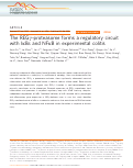 Cover page: The REGγ-proteasome forms a regulatory circuit with IκBɛ and NFκB in experimental colitis