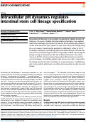 Cover page: Intracellular pH dynamics regulates intestinal stem cell lineage specification