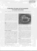 Cover page: Evaluation of zones of iris hypoplasia in horses and ponies.