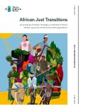 Cover page: African Just Transitions: Assessing the Activities, Strategies, and Needs of African Climate, Agri-food, and Environmental Organizations