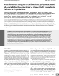 Cover page: Pseudomonas aeruginosa utilizes host polyunsaturated phosphatidylethanolamines to trigger theft-ferroptosis in bronchial epithelium.