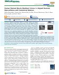 Cover page: Human Skeletal Muscle Myoblast Culture in Aligned Bacterial Nanocellulose and Commercial Matrices.