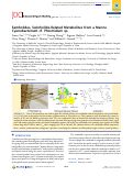 Cover page: Samholides, Swinholide-Related Metabolites from a Marine Cyanobacterium cf. Phormidium sp.