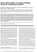 Cover page: Dense Bicoid hubs accentuate binding along the morphogen gradient