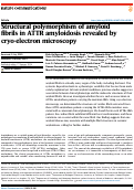 Cover page: Structural polymorphism of amyloid fibrils in ATTR amyloidosis revealed by cryo-electron microscopy.