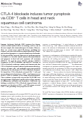 Cover page: CTLA-4 blockade induces tumor pyroptosis via CD8+ T&nbsp;cells in head and neck squamous cell carcinoma.