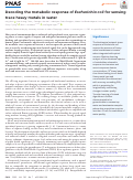 Cover page: Decoding the metabolic response of Escherichia coli for sensing trace heavy metals in water