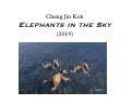 Cover page: Elephants in the Sky