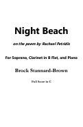 Cover page: Night Beach
