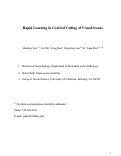 Cover page: Rapid learning in cortical coding of visual scenes