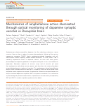 Cover page: Mechanisms of amphetamine action illuminated through optical monitoring of dopamine synaptic vesicles in Drosophila brain