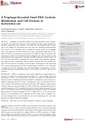 Cover page: A Prophage-Encoded Small RNA Controls Metabolism and Cell Division in Escherichia coli