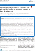 Cover page: Mesenchymal adenomatous polyposis coli plays critical and diverse roles in regulating lung development