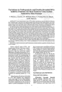 Cover page: Variations of Pathogenicity and Double-stranded RNA (dsRNA) Patterns of Citrus Tristeza Virus Isolated Induced by Host Passage