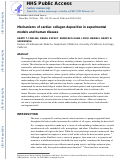 Cover page: Mechanisms of cardiac collagen deposition in experimental models and human disease