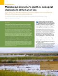 Cover page: Microbiome interactions and their ecological implications at the Salton Sea