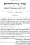 Cover page: Identification and characterization of dysregulated P-element induced wimpy testis-interacting RNAs in head and neck squamous cell carcinoma.