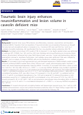 Cover page: Traumatic brain injury enhances neuroinflammation and lesion volume in caveolin deficient mice