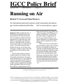 Cover page: Policy Brief 13: Running on Air