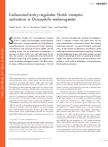 Cover page: Endosomal entry regulates Notch receptor activation in Drosophila melanogaster