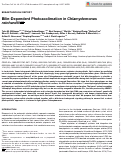 Cover page: Bilin-Dependent Photoacclimation in Chlamydomonas reinhardtii