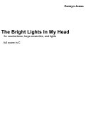 Cover page: The Bright Lights in My Head