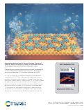 Cover page: Monomolecular covalent honeycomb nanosheets produced by surface-mediated polycondensation between 1,3,5-triamino benzene and benzene-1,3,5-tricarbox aldehyde on Au(111)