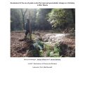 Cover page: Assessment of the use of grade control for improved groundwater storage on a tributary in Muir Woods