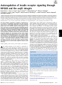 Cover page: Autoregulation of insulin receptor signaling through MFGE8 and the αvβ5 integrin