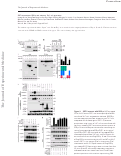 Cover page: SIRT1 deacetylates RORγt and enhances Th17 cell generation