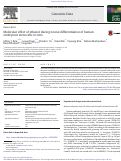 Cover page: Molecular effect of ethanol during neural differentiation of human embryonic stem cells in vitro