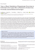 Cover page: Tonic or Phasic Stimulation of Dopaminergic Projections to Prefrontal Cortex Causes Mice to Maintain or Deviate from Previously Learned Behavioral Strategies