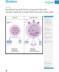 Cover page: Epidermal growth factor augments the self-renewal capacity of aged hematopoietic stem cells.