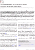 Cover page: Function and Regulation of Cph2 in Candida albicans